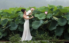 joyheitui官方网址